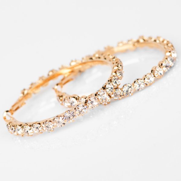 Elegant Hoop Earrings