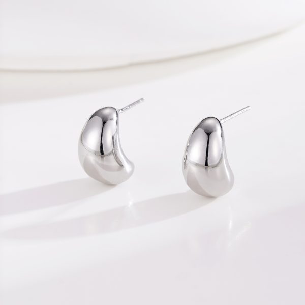 Various Silver Earrings