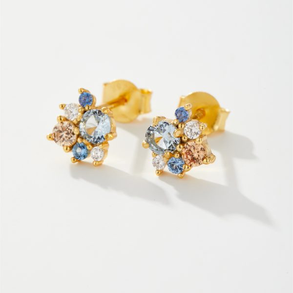 Modern Design Earrings