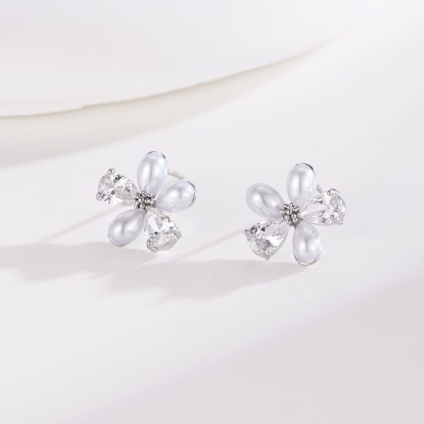 Various Silver Earrings