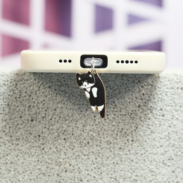 Dust Plug