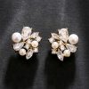 20db3803-9611-48b9-96b1-411ef376d1a2.jpg Fresh Water Pearl Zircon Earrings