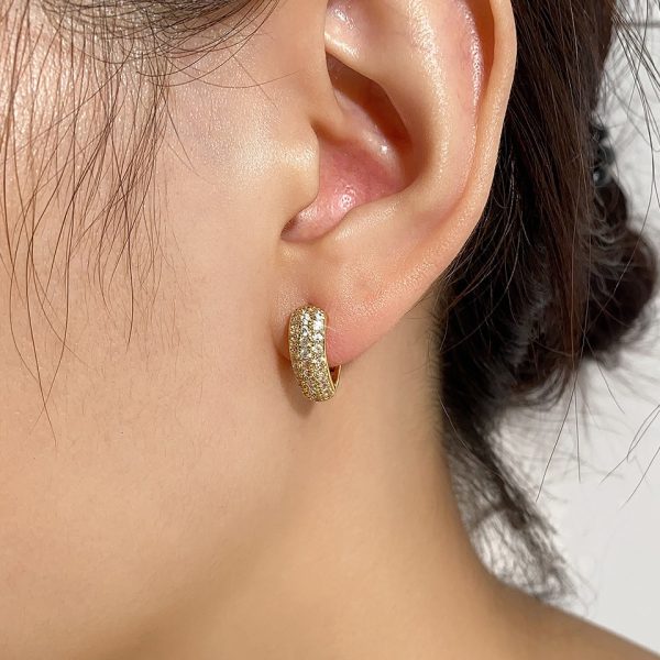 b6013551-8e35-47bf-9cde-5960dd15d3da.jpg Zircon Hoop Earrings