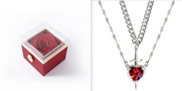 Heart Sword Necklace Gift Box Set