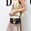 Vina Lioness Bag