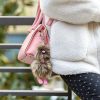 Ostrich Keychain