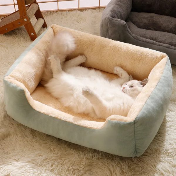 Cleo Pet Bed