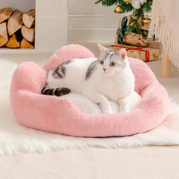 Smoochie Pet Bed