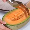 Melon Cutter