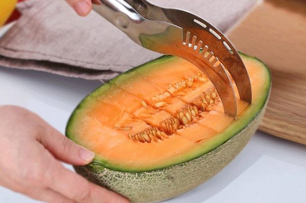 Melon Cutter