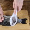 Fish Skin Scraping Tool