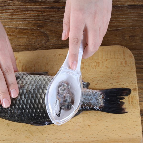 Fish Skin Scraping Tool