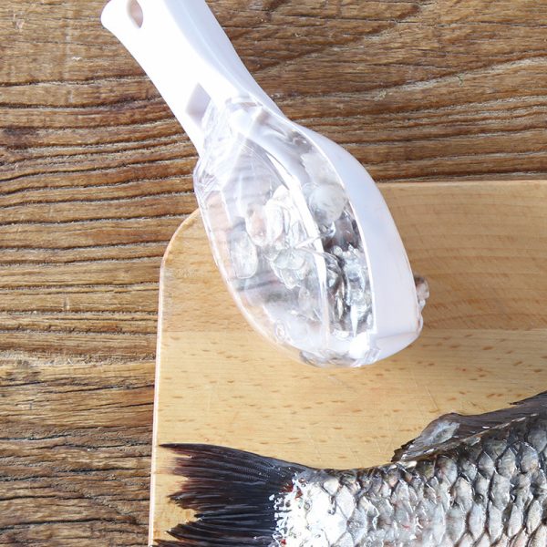 Fish Skin Scraping Tool