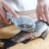 Fish Skin Scraping Tool