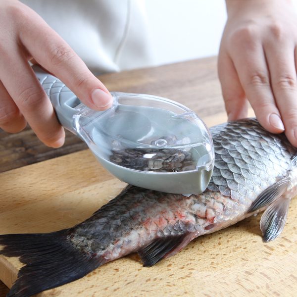Fish Skin Scraping Tool