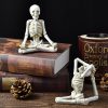 Skeleton Display
