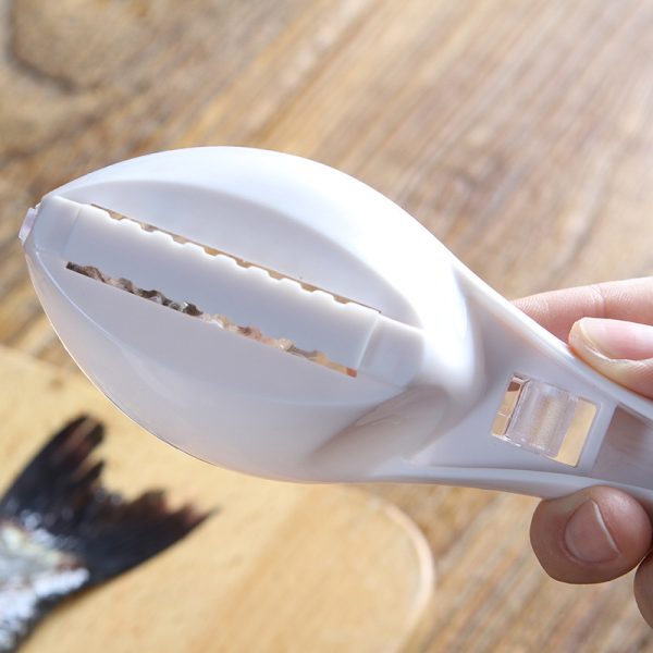 Fish Skin Scraping Tool