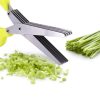 Herbs & Veggie Stainless Steel Scissors