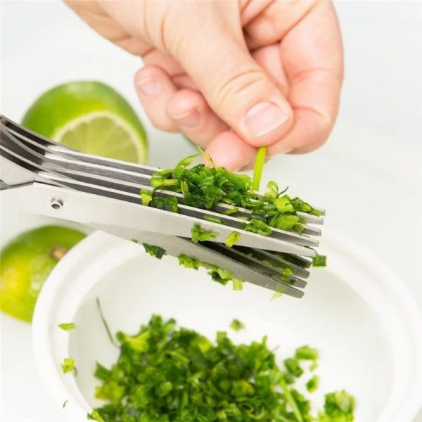 Herbs & Veggie Stainless Steel Scissors