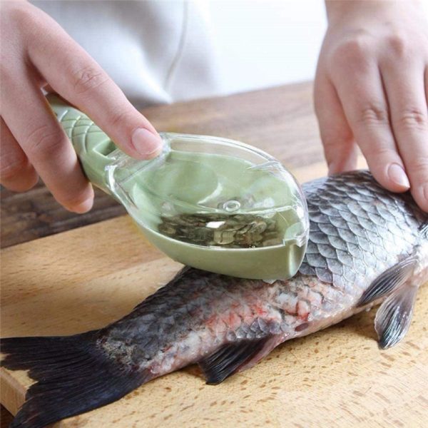 Fish Skin Scraping Tool