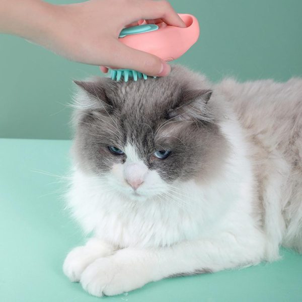 Cat Comb