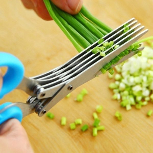 Herbs & Veggie Stainless Steel Scissors