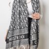 1563  Dior Cashmere Scarf - Grey Logo