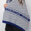 1604  Dior Scarf - Blue Logo