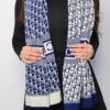 1604  Dior Scarf - Blue Logo